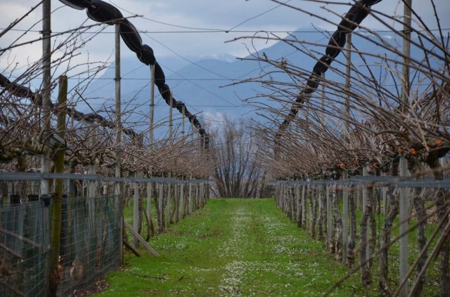 61_agroturismo_sasso doro